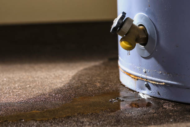 Best Fire Damage Restoration  in Ross, CA
