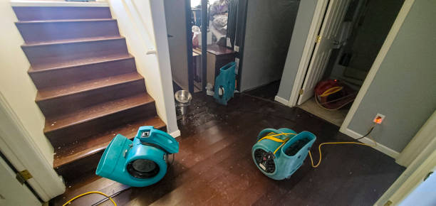 Best Flooded house restoration  in Ross, CA