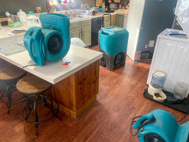 Best Sewage cleanup and water damage restoration  in Ross, CA