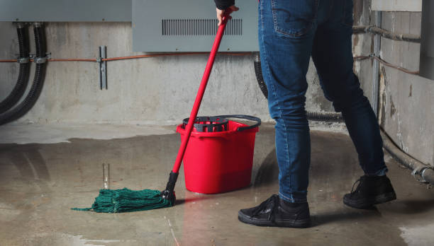 Best Water damage cleanup near me  in Ross, CA