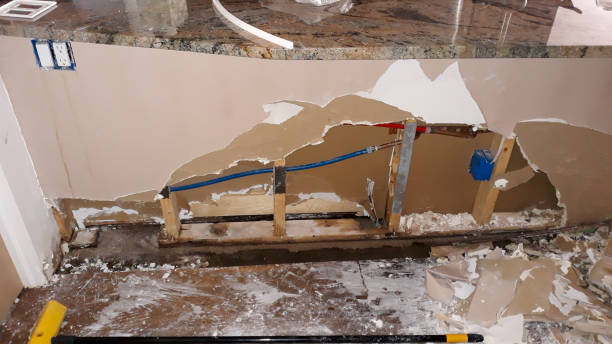 Best 24-hour water damage restoration  in Ross, CA