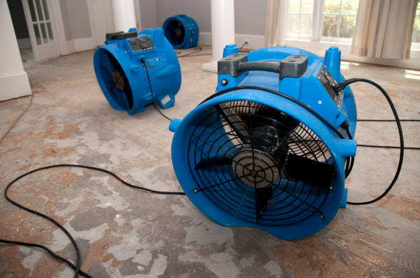 Best Professional water damage repair  in Ross, CA