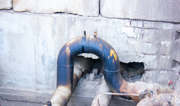 Best Water damage restoration near me  in Ross, CA