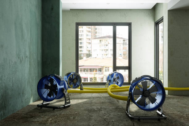Best Residential water damage restoration  in Ross, CA