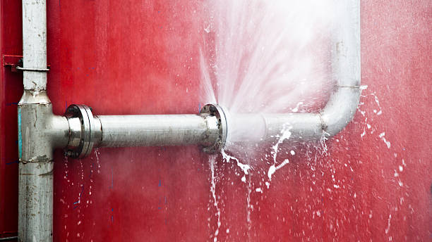  Ross, CA Water damage restoration Pros
